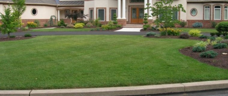 d-slide-front-yard-tidy-760